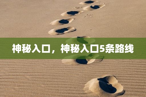 神秘入口，神秘入口5条路线