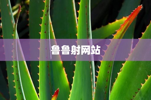 鲁鲁射网站