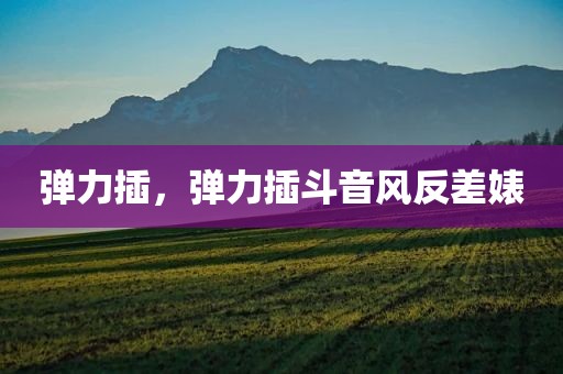 弹力插，弹力插斗音风反差婊