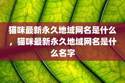 猫咪最新永久地域网名是什么，猫咪最新永久地域网名是什么名字