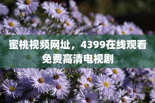 蜜桃视频网址，4399在线观看免费高清电视剧