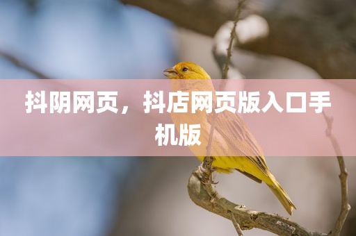 抖阴网页，抖店网页版入口手机版