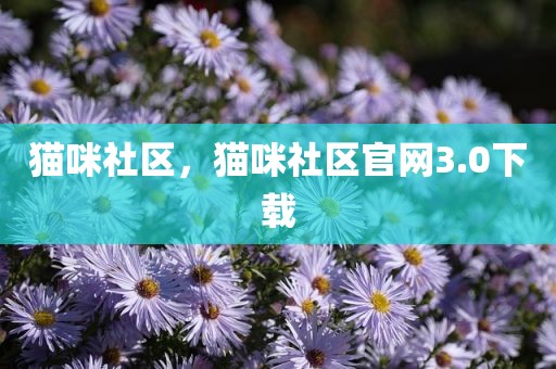 猫咪社区，猫咪社区官网3.0下载