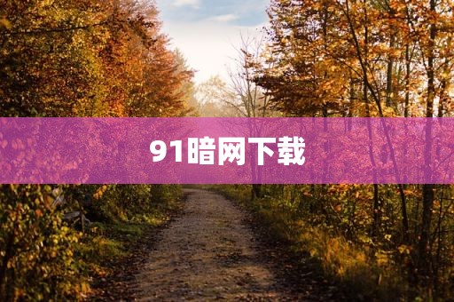 91暗网下载