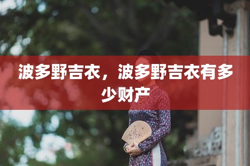 波多野吉衣，波多野吉衣有多少财产