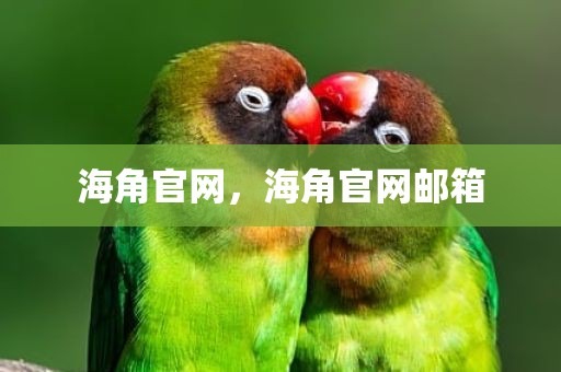 海角官网，海角官网邮箱