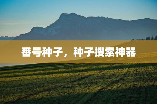番号种子，种子搜索神器