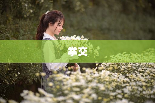 拳交