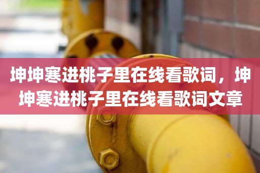 坤坤寒进桃子里在线看歌词，坤坤寒进桃子里在线看歌词文章