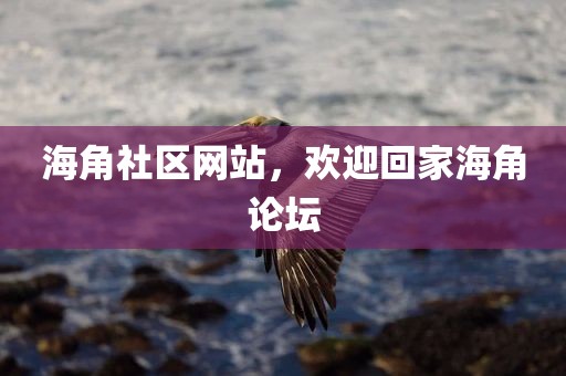 海角社区网站，欢迎回家海角论坛