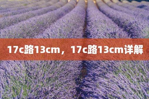 17c路13cm，17c路13cm详解