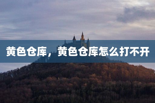 黄色仓库，黄色仓库怎么打不开