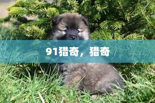 91猎奇，猎奇