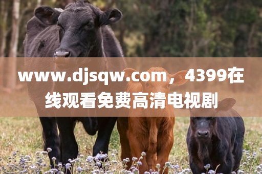 www.djsqw.com，4399在线观看免费高清电视剧