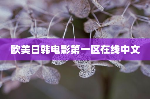欧美日韩电影第一区在线中文