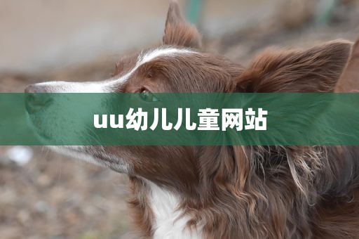 uu幼儿儿童网站