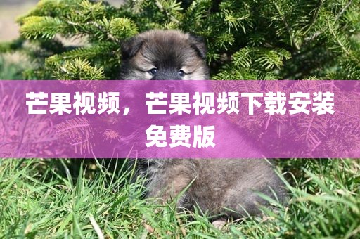 芒果视频，芒果视频下载安装免费版
