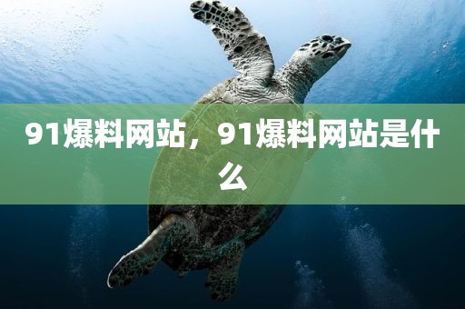 91爆料网站，91爆料网站是什么
