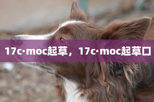 17c·moc起草，17c·moc起草口