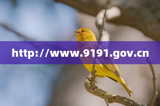 http://www.9191.gov.cn