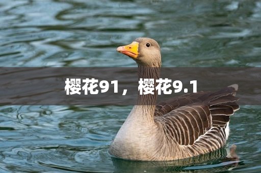 樱花91，樱花9.1