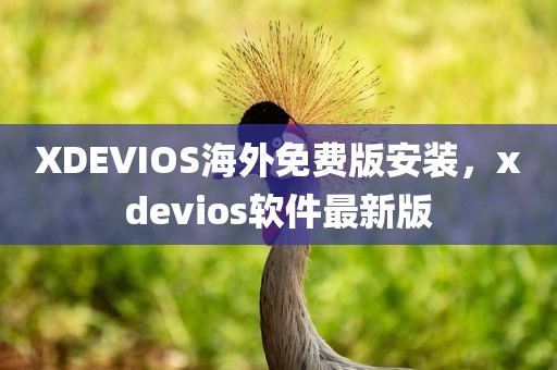 XDEVIOS海外免费版安装，xdevios软件最新版
