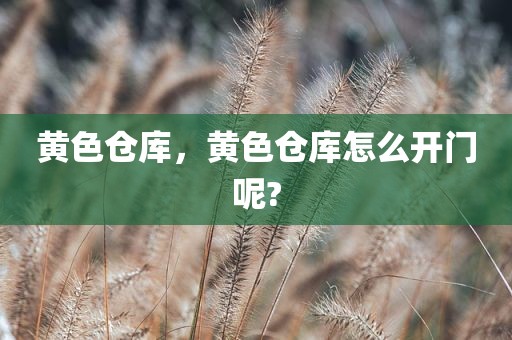 黄色仓库，黄色仓库怎么开门呢?