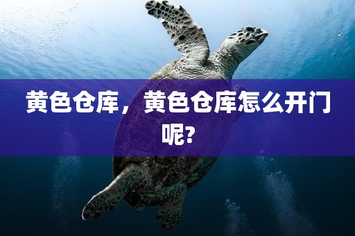 黄色仓库，黄色仓库怎么开门呢?