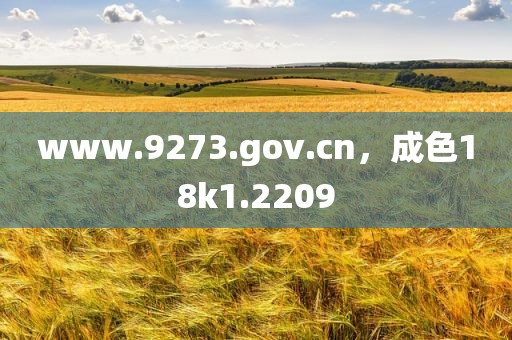 www.9273.gov.cn，成色18k1.2209