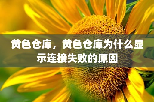 黄色仓库，黄色仓库为什么显示连接失败的原因