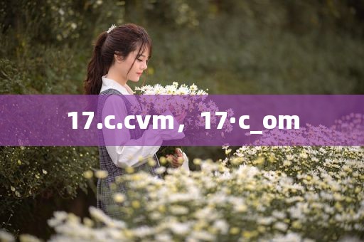 17.c.cvm，17·c_om