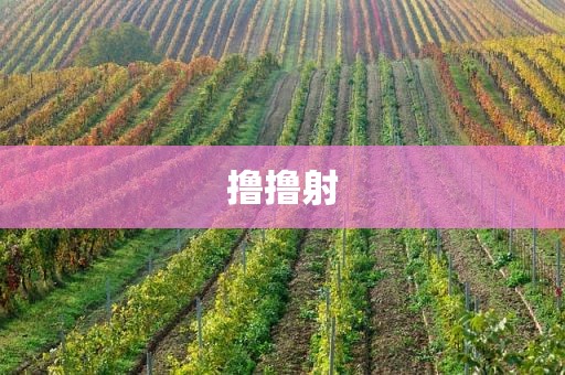 撸撸射