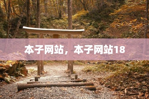 本子网站，本子网站18