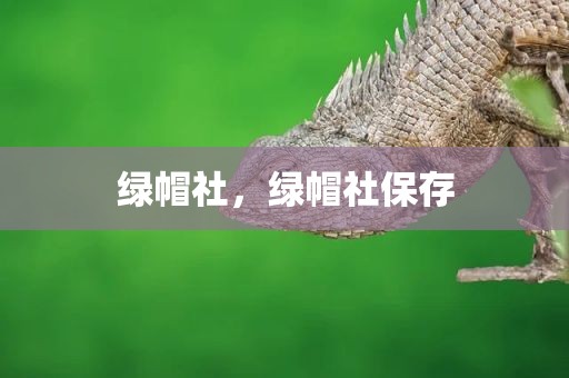 绿帽社，绿帽社保存