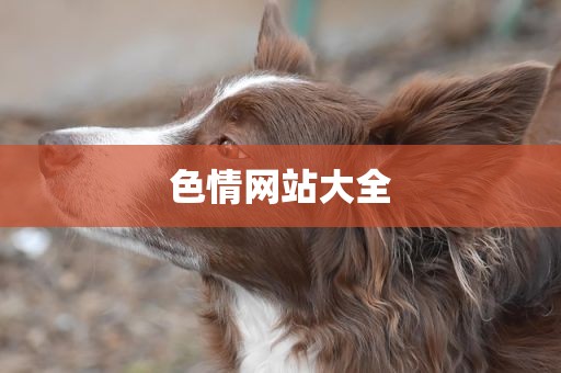 色情网站大全