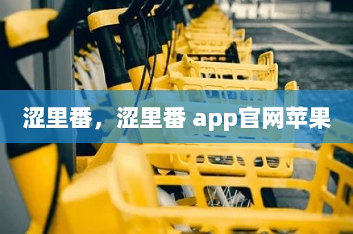 涩里番，涩里番 app官网苹果