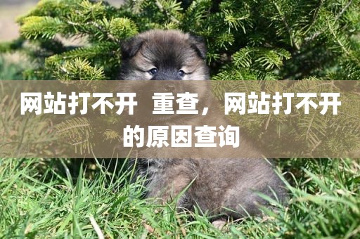 网站打不开  重查，网站打不开的原因查询