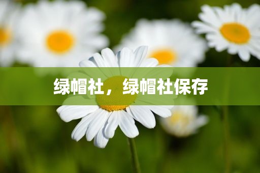 绿帽社，绿帽社保存