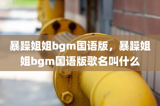 暴躁姐姐bgm国语版，暴躁姐姐bgm国语版歌名叫什么
