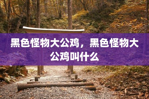 黑色怪物大公鸡，黑色怪物大公鸡叫什么