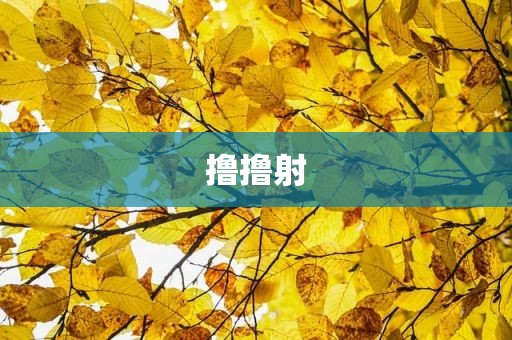 撸撸射