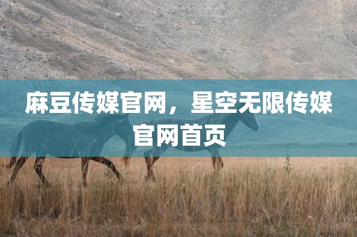 麻豆传媒官网，星空无限传媒官网首页