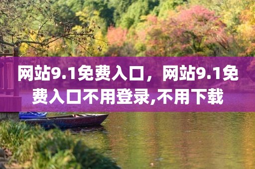 网站9.1免费入口，网站9.1免费入口不用登录,不用下载