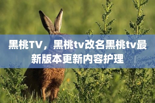 黑桃TV，黑桃tv改名黑桃tv最新版本更新内容护理
