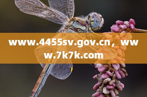 www.4455sv.gov.cn，www.7k7k.com