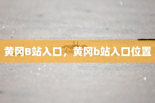黄冈B站入口，黄冈b站入口位置