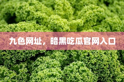九色网址，暗黑吃瓜官网入口