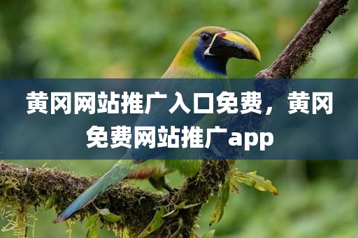黄冈网站推广入口免费，黄冈免费网站推广app