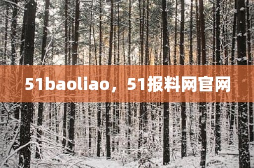 51baoliao，51报料网官网