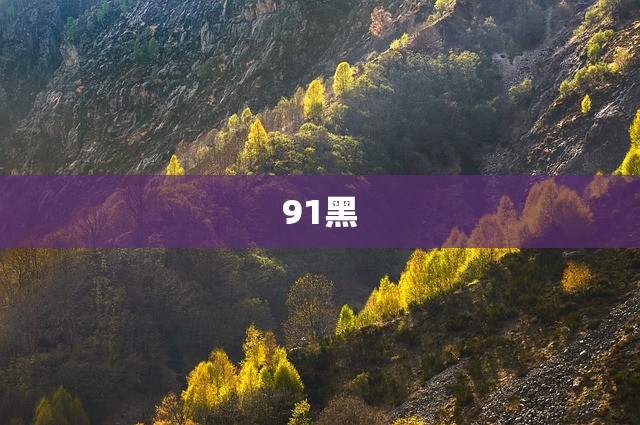 91黑